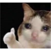 crí 6
