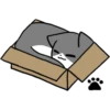 Silver and white cat 4 5