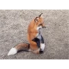 Los zorritos 5