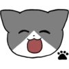 Silver and white cat 4 6