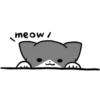 Silver and white cat 2 5