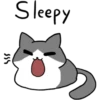 Silver and white cat 4 7