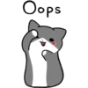 Silver and white cat 3 5
