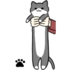 Silver and white cat 3 7