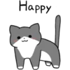 Silver and white cat 3 8