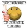 CONGRATULATIONS YOU PASSED YOUR VIBE CHECK