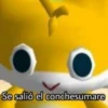 Que random bro 8