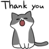 Silver and white cat 6