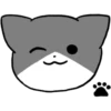 Silver and white cat 4 10