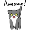 Silver and white cat 2 6