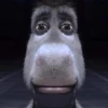 Random Faces 1 8