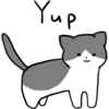 Silver and white cat 7