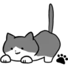 Silver and white cat 8