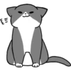 Silver and white cat 2 7