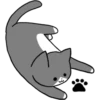 Silver and white cat 4 14