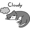 Silver and white cat 3 9