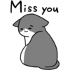 Silver and white cat 2 9