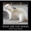 Reaction Images #4 8