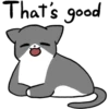 Silver and white cat 2 11