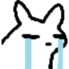 RAIN WORLD 4 8