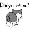 Silver and white cat 9