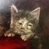 Reaction Images #3 10
