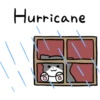 Silver and white cat 3 12