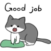 Silver and white cat 10