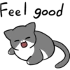 Silver and white cat 2 13