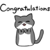 Silver and white cat 2 14