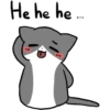Silver and white cat 2 15