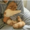 kitty love ♡ 6