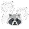 Raccoon 5