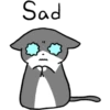 Silver and white cat 3 13
