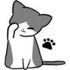Silver and white cat 11