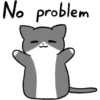 Silver and white cat 2 16