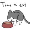 Silver and white cat 12