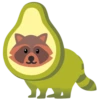 Raccoon 6