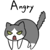 Silver and white cat 4 18