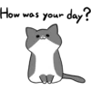 Silver and white cat 2 18