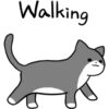 Silver and white cat 3 15