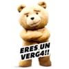 ERES UN VERG4!!