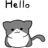 Silver and white cat 3 16