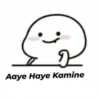 Aaye Haye Kamine
