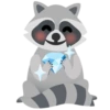 Raccoon 7