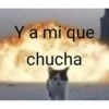 Que random bro 16