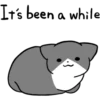 Silver and white cat 3 17