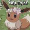 Pokémon 12