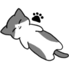 Silver and white cat 15