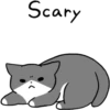 Silver and white cat 3 19
